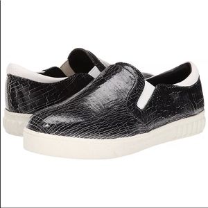 Circus Sam Edelman Black Slip On Sneaker Black 7.5